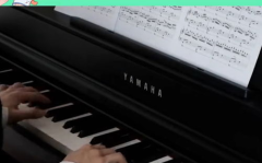 卡农铃音,古典旋律的现代演绎，唤醒心灵的和谐之音