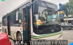 14路公交车路线,穿梭城市脉络，连接生活点滴