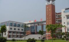 陈村职业技术学校,培育技能精英，助力地方经济发展