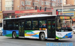 沈阳公交车,挑战与机遇并存的城市公共交通探索