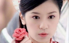 贾静雯主演的电视剧大全,从古装佳人到现代辣妈，电视剧生涯精彩回顾