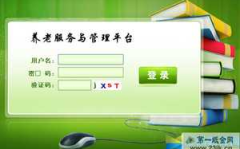 北京养老服务与管理信息平台,一网通办，构建全方位养老服务与管理新格局”