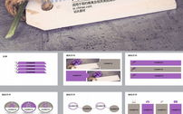 精美ppt模板,蓝色公司发展历程与未来展望