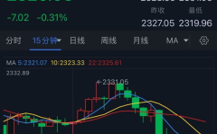 金价最新消息,多因素驱动，避险需求激增