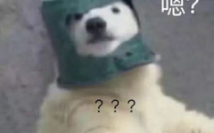 羊了个羊娱乐吃瓜,娱乐吃瓜,揭秘网络爆款游戏背后的故事